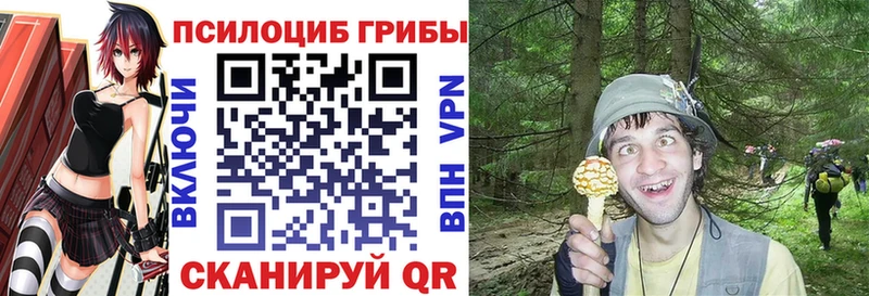 ссылка на мегу tor Кукмор Псилоцибиновые грибы GOLDEN TEACHER купить наркотики цена